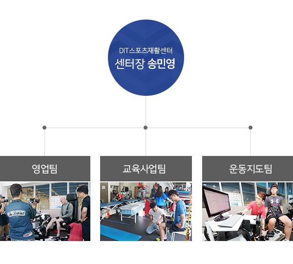 조직도 : DIT스포츠재활센터 센터장 송민영 - 영업팀, 교육사업팀, 운동지도팀